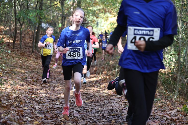 CROSS WEERT 26-10-20250399.jpg