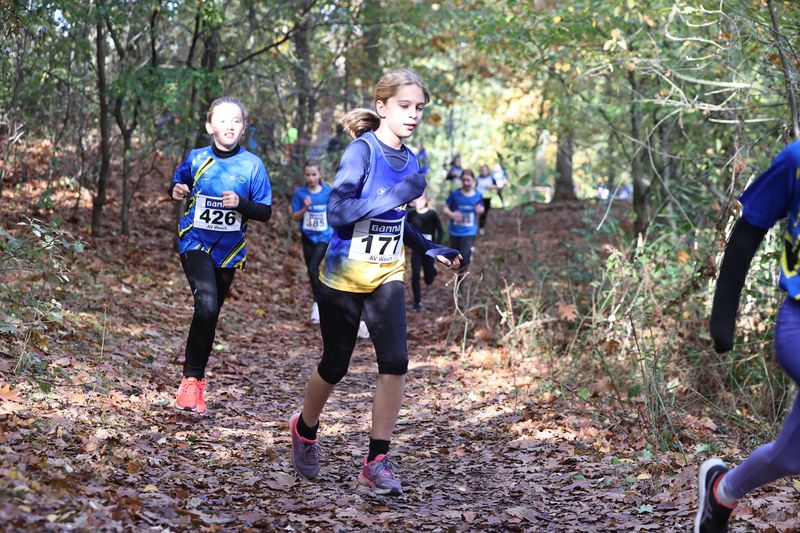CROSS WEERT 26-10-20250400.jpg