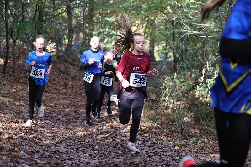 CROSS WEERT 26-10-20250401.jpg