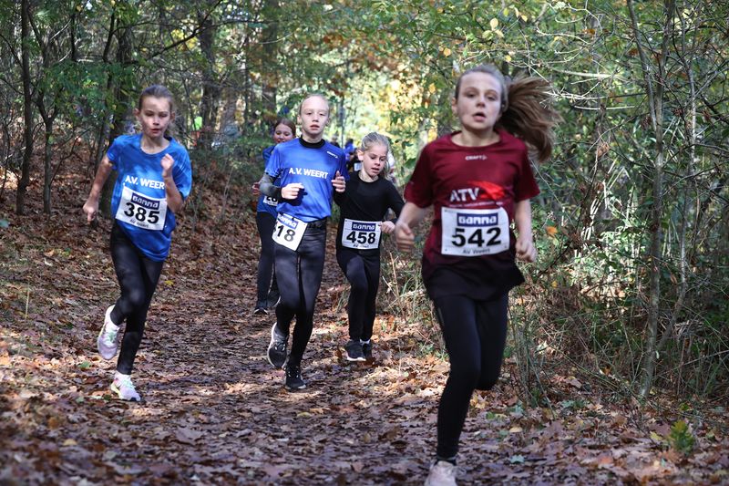 CROSS WEERT 26-10-20250402.jpg