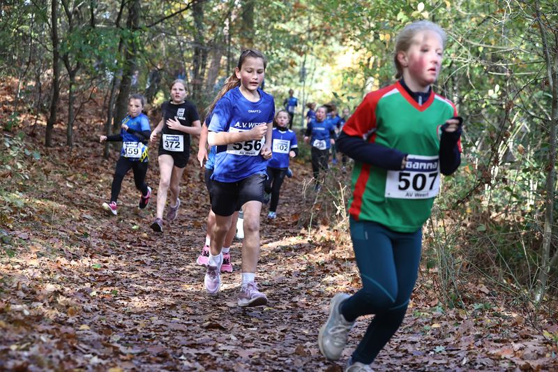 CROSS WEERT 26-10-20250406.jpg