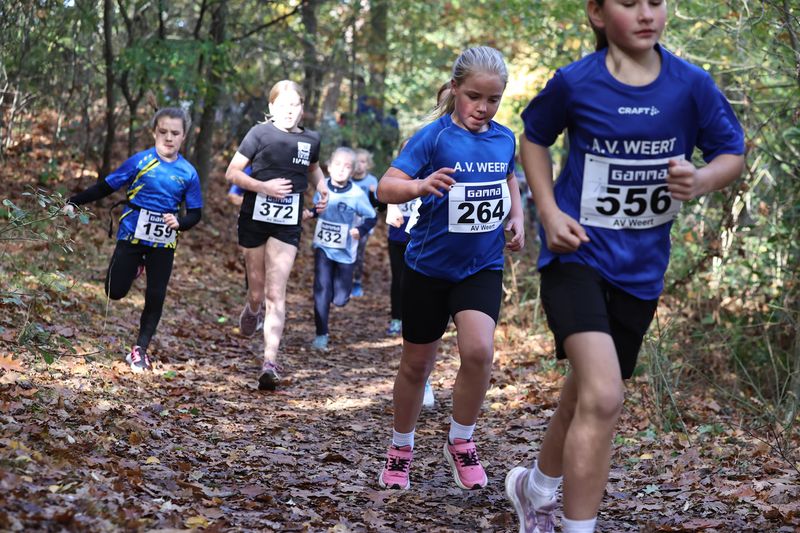 CROSS WEERT 26-10-20250407.jpg