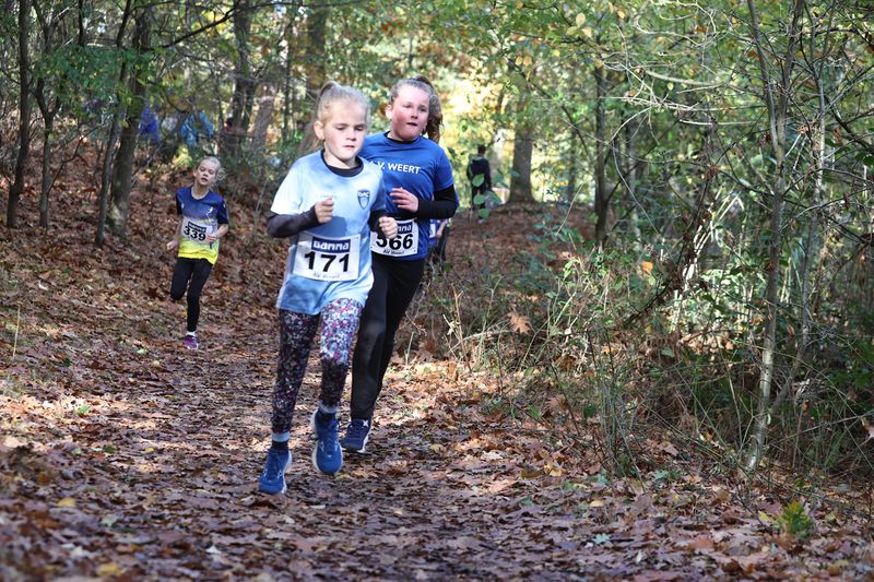 CROSS WEERT 26-10-20250408.jpg