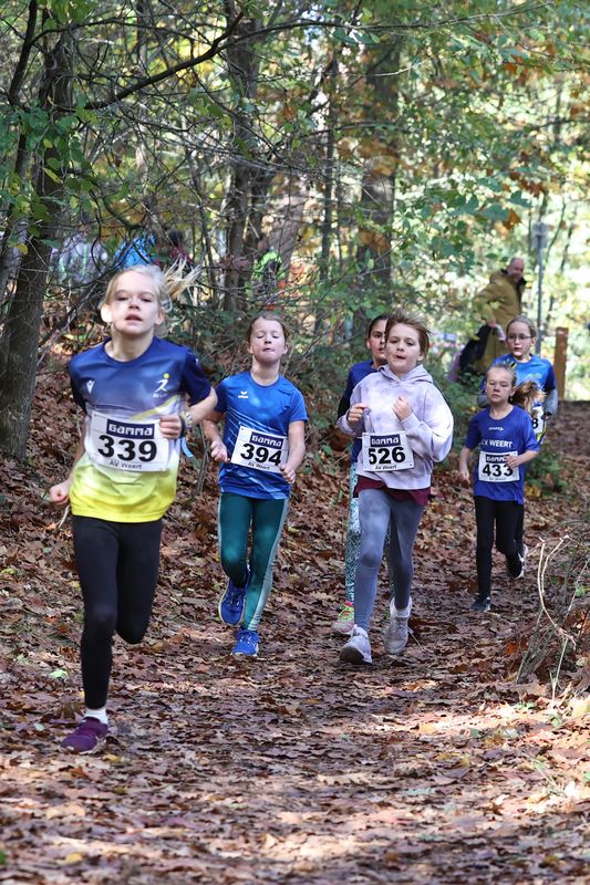 CROSS WEERT 26-10-20250409.jpg