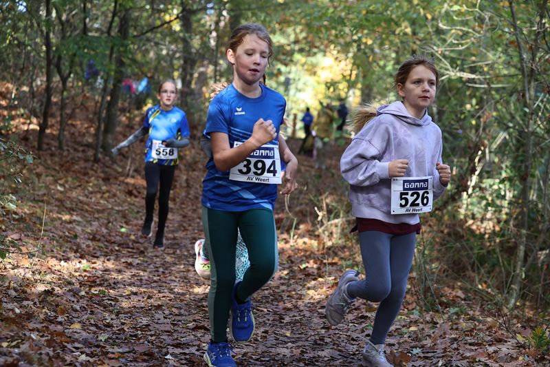 CROSS WEERT 26-10-20250410.jpg