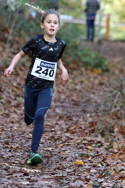 CROSS WEERT 26-10-20250412.jpg