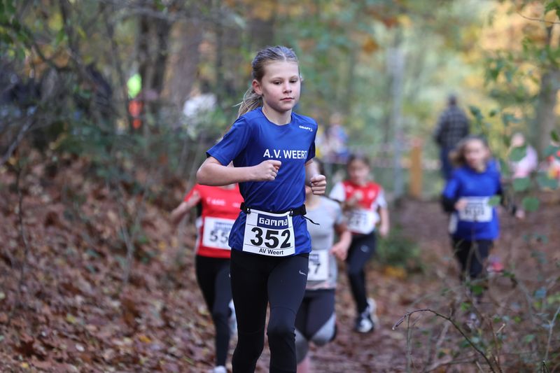 CROSS WEERT 26-10-20250416.jpg
