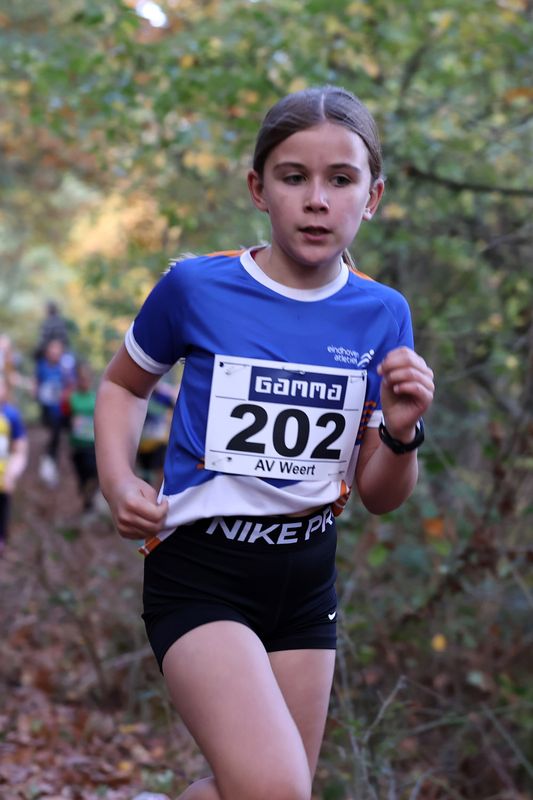 CROSS WEERT 26-10-20250417.jpg
