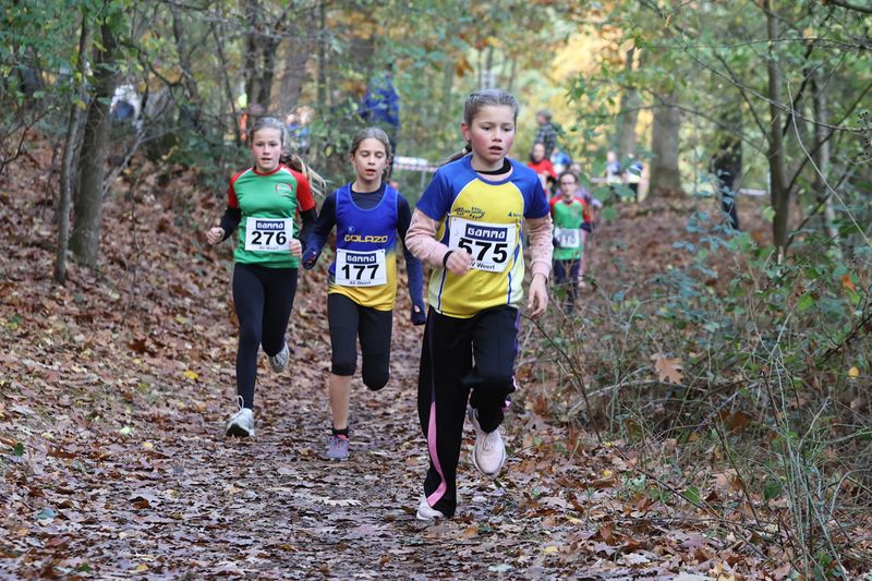 CROSS WEERT 26-10-20250418.jpg