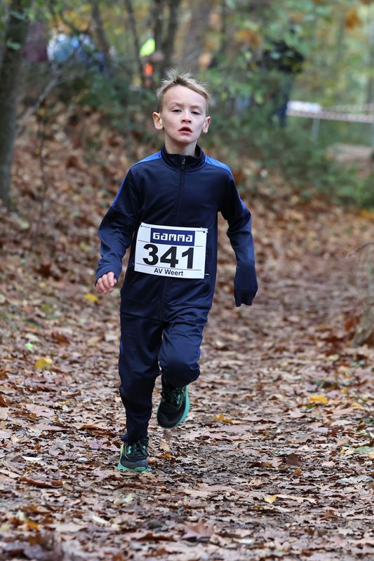 CROSS WEERT 26-10-20250453.jpg