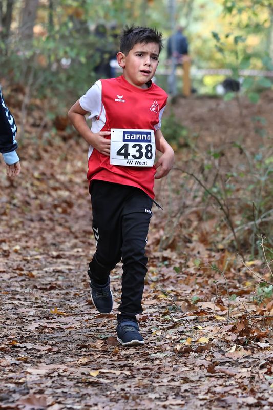 CROSS WEERT 26-10-20250455.jpg
