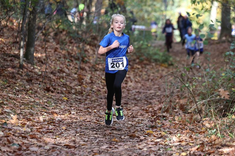 CROSS WEERT 26-10-20250465.jpg