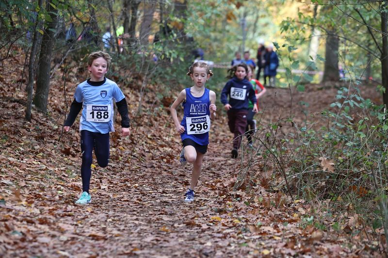 CROSS WEERT 26-10-20250466.jpg