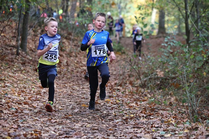 CROSS WEERT 26-10-20250468.jpg
