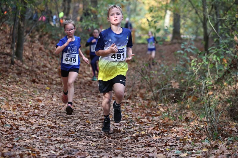 CROSS WEERT 26-10-20250469.jpg