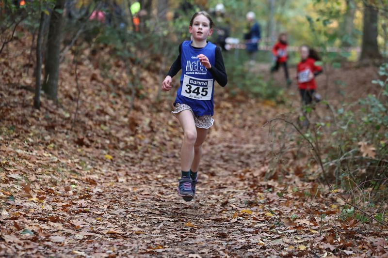 CROSS WEERT 26-10-20250471.jpg