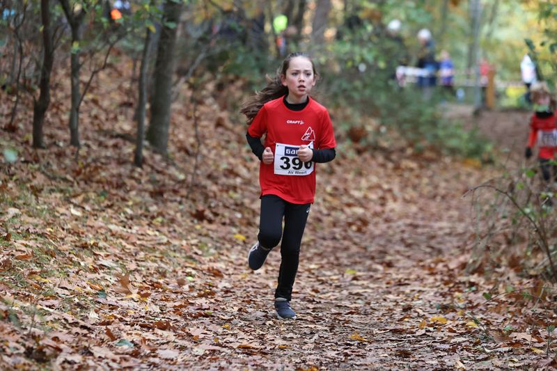 CROSS WEERT 26-10-20250472.jpg