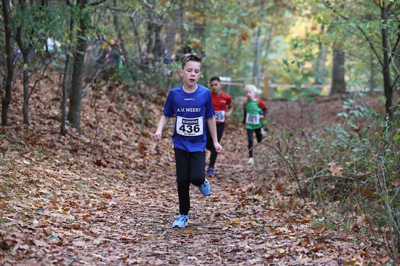 CROSS WEERT 26-10-20250474.jpg