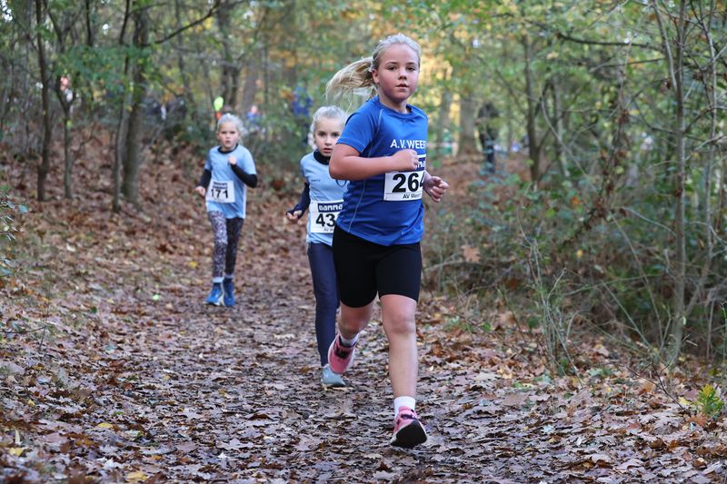 CROSS WEERT 26-10-20250480.jpg