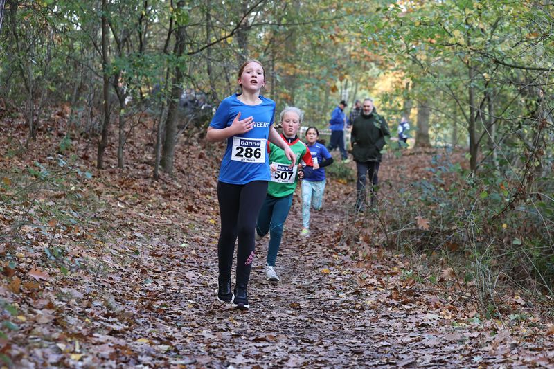 CROSS WEERT 26-10-20250485.jpg
