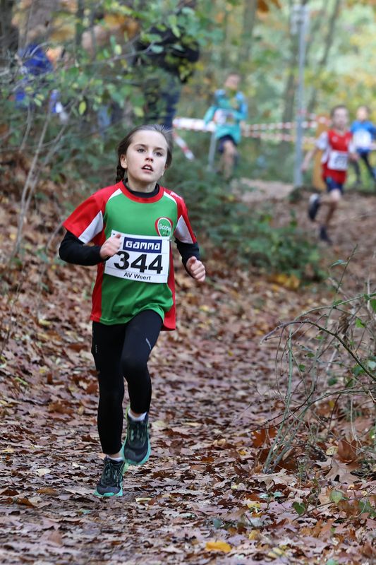 CROSS WEERT 26-10-20250491.jpg
