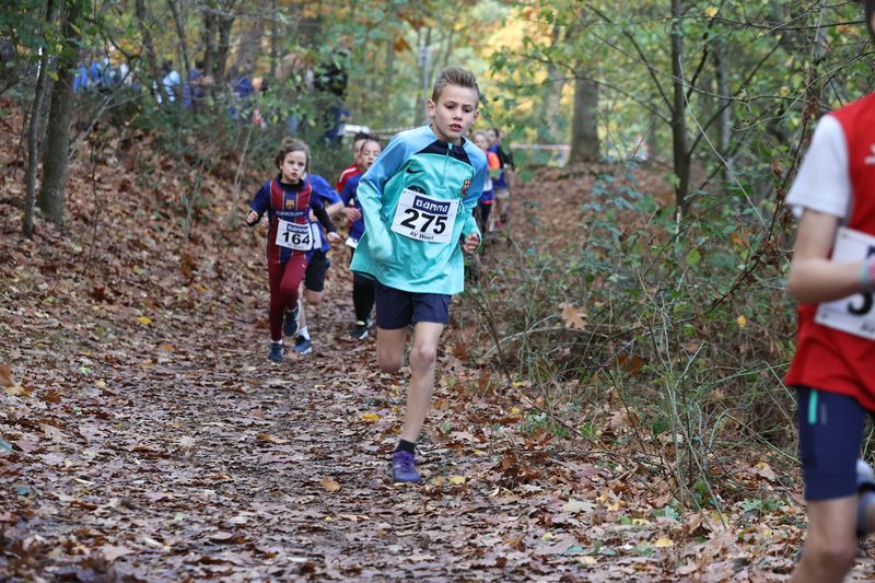 CROSS WEERT 26-10-20250493.jpg