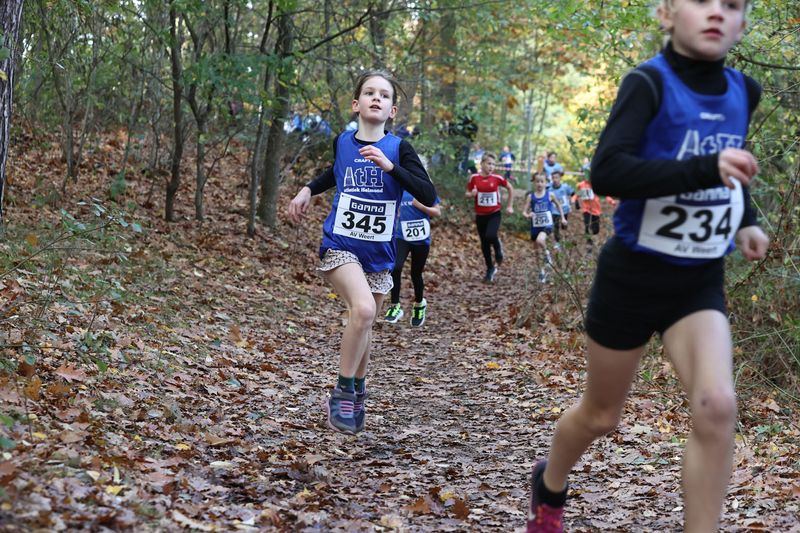 CROSS WEERT 26-10-20250498.jpg