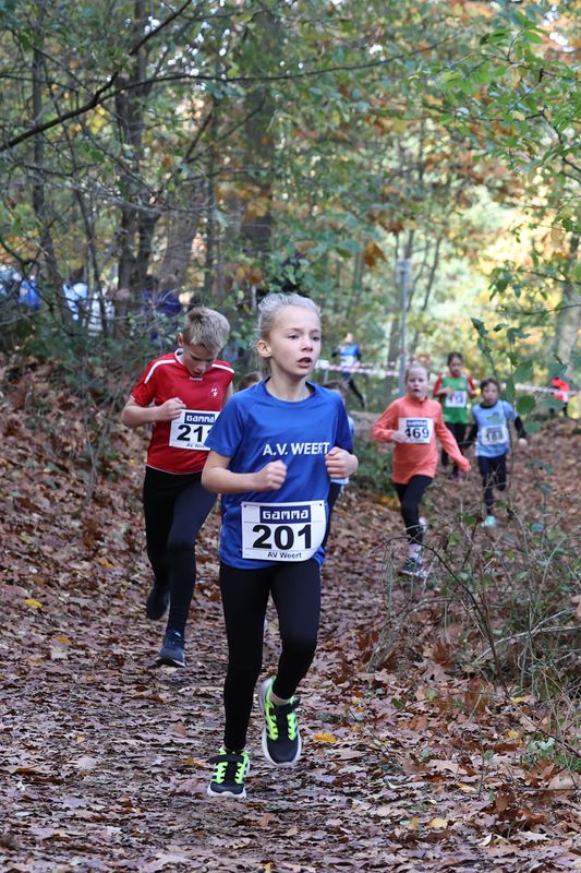 CROSS WEERT 26-10-20250499.jpg