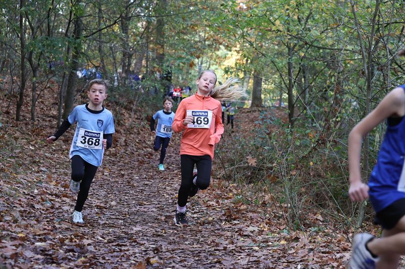 CROSS WEERT 26-10-20250500.jpg