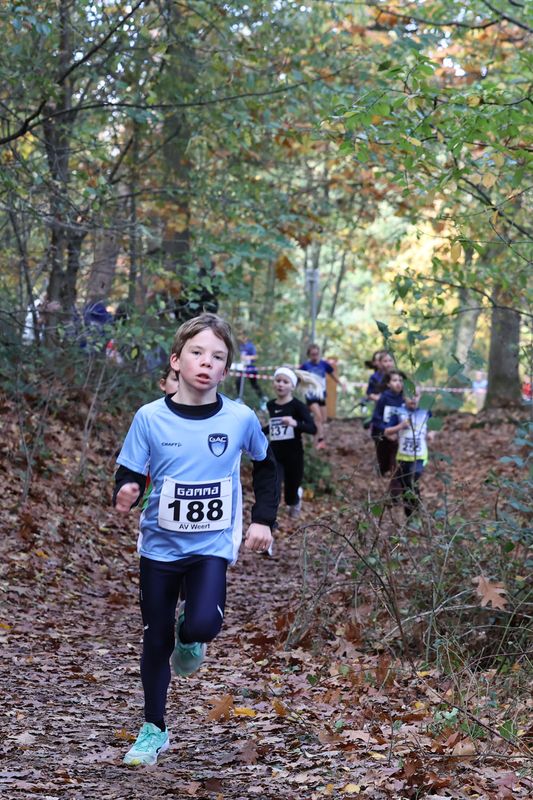 CROSS WEERT 26-10-20250501.jpg