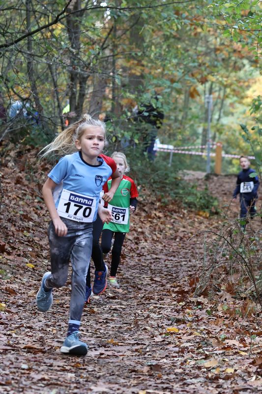 CROSS WEERT 26-10-20250502.jpg