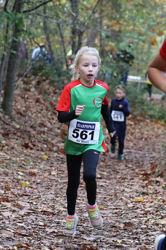 CROSS WEERT 26-10-20250503.jpg