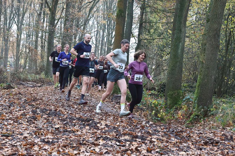 Trail Weert 2025060-DeNoiseAI-clear.jpg