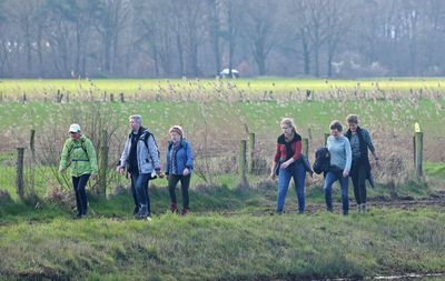 Minder vroege vogels