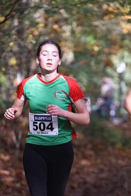 CROSS WEERT 26-10-20250210.jpg
