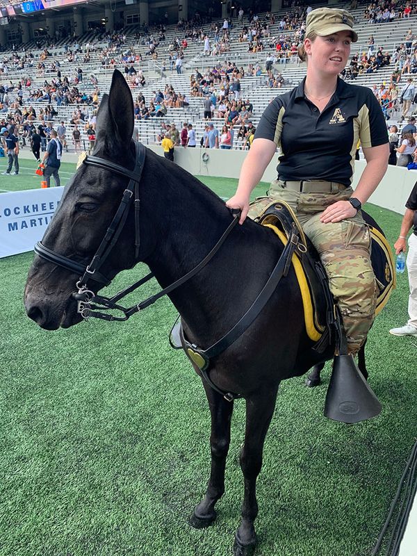 army-horse.jpg