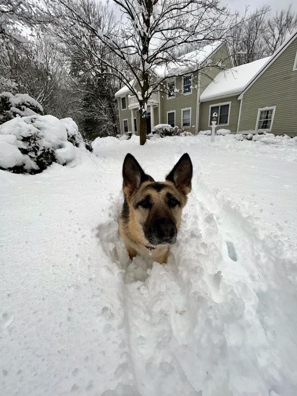 feb24storm3.jpg