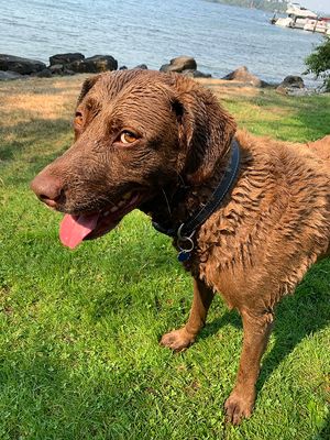 lexi-lake.jpg
