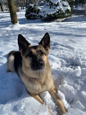 joni-snow-dec22.jpg