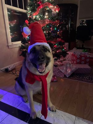 joni-xmaseve22.jpg