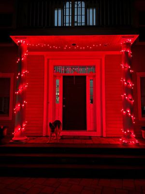xmas23lights.jpg