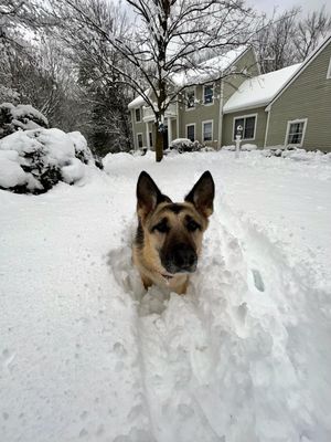 feb24storm3.jpg