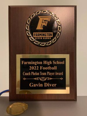 fhs22-award.jpg