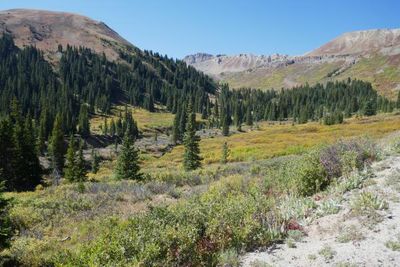 Independence Pass, Lake and Pitkin Counties, Colorado