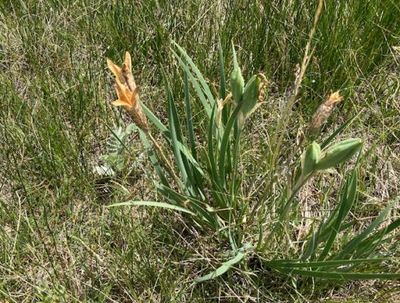 Badger Basin Wildlife Area