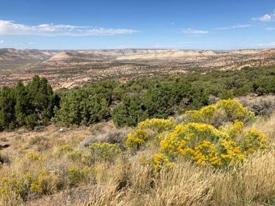 Flaming Gorge National Recreation Area