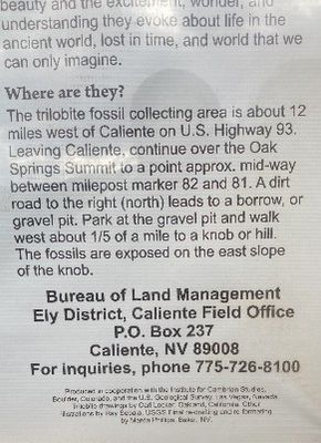 Oak Springs Summit Trilobite Site