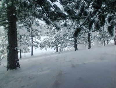Winter, Western U.S.A.