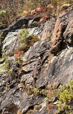 Rocks and Wood -- Preferably (but not necessarily) Together