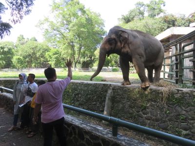 Jakarta Ragunan Zoo
